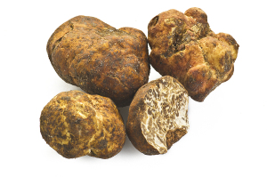tartufo-bianchetto