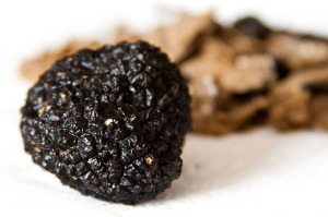 tartufo-nero_fragno